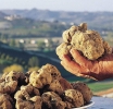 CONFCOMMERCIO ASTI PRESENTE CON LE ECCELLENZE DEL TERRITORIO AL PALATARTUFO DI PIZZA SAN SECONDO DAL 18 NOVEMBRE AL 17 DICEMBRE